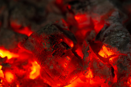 Fire in the fireplace. In the warm light of a campfire, our pupils naturally dilate.