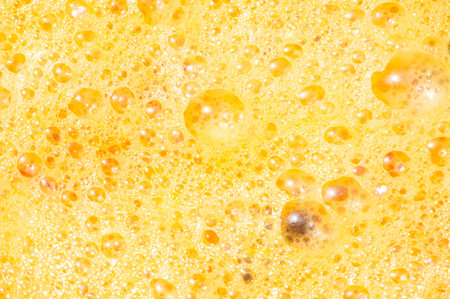 Make homemade apricot liqueurs from fresh apricots. Learn how to make apricot must for making a...