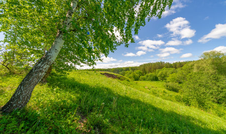 Spring, fields, ravines, hills, rural landscape. A deep, narrow gorge with steep slopes. A naturally raised area of ââland, not as high or craggy as a mountain.の写真素材