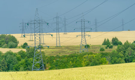 Summer Wheat field, power poles, power support, steel transmission pole, sunset, sun, lines...