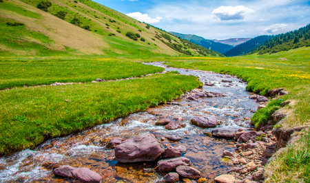 Summer in the mountains. River in the highlands. Summer landscape.の写真素材
