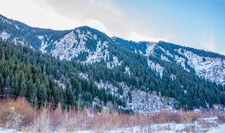 mountains. Scenery. Spring and "spring time" refer to the season as well as ideas of rebirth, rejuvenation, renewal, resurrection, and regrowth.の写真素材
