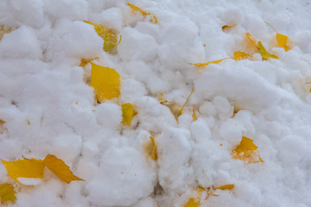 The first snowfall of the season creates a picturesque winter landscape Snow adds a touch of magic and beauty to the fall season The sun melts some of the snow creating contrasting patternsの写真素材