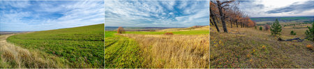 Experience the beauty of autumn with stunning golden leaves. Golden Time marks a unique season full...