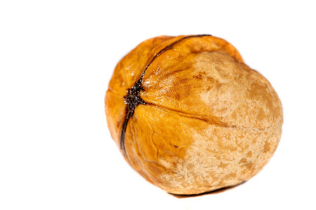 Walnut. Walnut is a stimulant, but too much caffeine is a depressant.