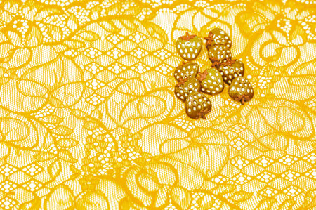 Haute couture embellishment for your design Bright and eye catching royal yellow lace patch Can be used as an accessory or decorative element in fashion designs Adds a unique textural backdropの写真素材