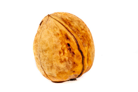 Walnut. If you can't make a cup of walnuts, you have no soul