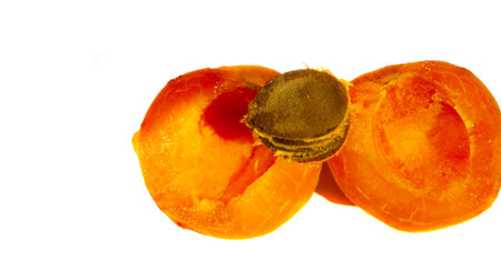 Apricot. Although their own name is Prunus armeniaca, apricots probably come from China, not...