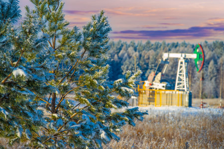 Pumpjack is used in winter to pump oil and gas from wells. Walking beam pump. Horse head pump....