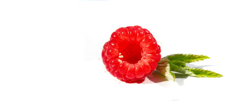 Raspberries. Wild red raspberries produce small, tart red berries. They are delicious fresh but also...