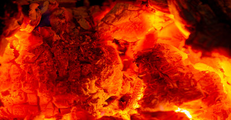 Fire. Fire is an important process affecting ecological systems around the world. Positive effects...