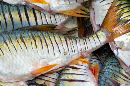 The fish is ready to eat. Fish contains high quality protein and other essential nutrients and is an...