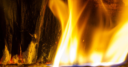 Fire in the fireplace. In the warm light of a campfire, our pupils naturally dilate.