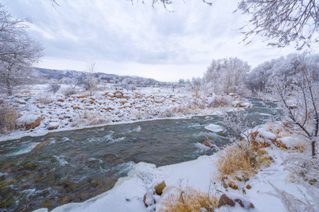 The river freezes in winter. My favorite winter river Silence in the forest was magical, broken only by the sound of the wind and the stream running, still alive, under the water. snow and iceの写真素材