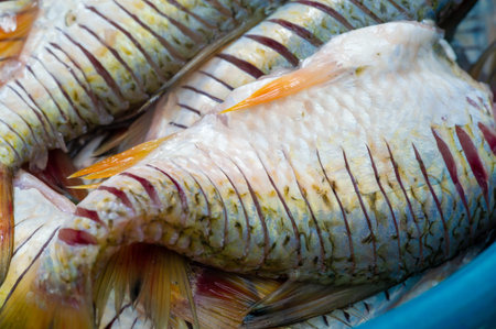 The fish is ready to eat. These are aquatic cold-blooded vertebrates that live both in the sea and...