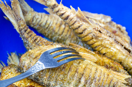 The fish is ready to eat. These are aquatic cold-blooded vertebrates that live both in the sea and...