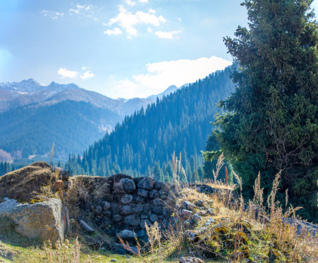 Enjoy the breathtaking beauty of autumn in the Tien Shan mountains. Witness majestic fir and birch trees creating a stunning landscape. Find peace and tranquility among the rocky cliffsの写真素材