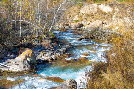 Discover the enchanting spruce forests of the Tien Shan. Immerse yourself in a world of vibrant...