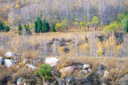 Explore the rugged beauty of the Tien Shan Mountains. Walk through breathtaking pine forests and birch paths. Experience the tranquility and natural wonders of this stunning landscape.の写真素材