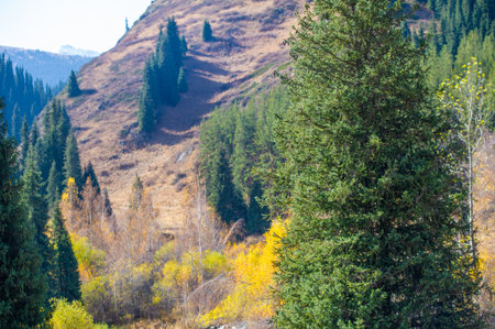 Enjoy the bright autumn colors of the Tien Shan range. Immerse yourself in nature's orchestral paradise. An exciting palette of contrasting shades.の写真素材