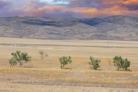 prairie, plain, desert. Mesmerizing hues transform a desert landscape into a mesmerizing masterpiece...