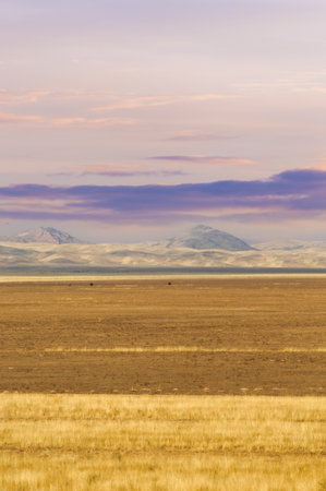 Steppe, prairie, plain, pampa. A mesmerizing moment when the sun bids farewell to the barren desert, casting a warm light that seems to reflect a lonely soul waiting for solace. Sunset Serenadeの写真素材