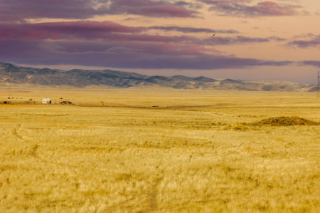 Steppe, prairie, plain, pampa. The desert landscape transforms into a surreal dreamscape as the sun...