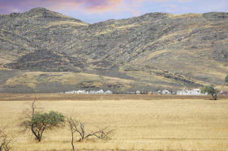prairie, plain, desert. Inspiring resilience in nature's harshest embrace Surviving Solitudeの写真素材