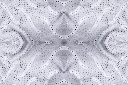Seamless kaleidoscope. The fabric is silky white and gray. An ultra-modern print and a delicate,...