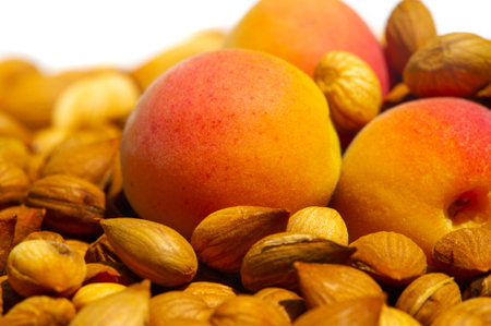 Apricot kernels, in the food industry, apricot kernels can be used in the preparation of low-fat biscuits, cookies, cakes, in the manufacture of antimicrobial films.の写真素材