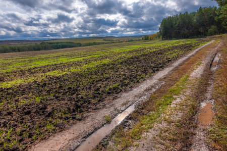 Autumn landscape photo. Mixed forests, meadows, ravines, cloudy sky, wonderful season.の写真素材