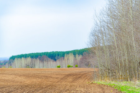 Experience the beauty and serenity of a sun-drenched plowed field. Celebrate the cycle of life and rejuvenation. Be prepared for a bountiful harvest season in the Nurturing Land.の写真素材