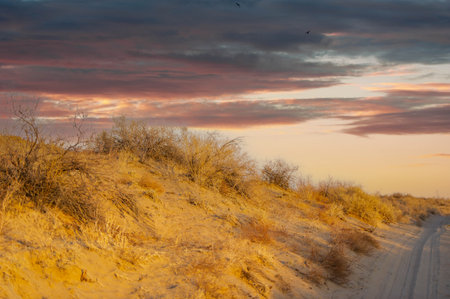 Autumn. Steppe. Sunset. The Dunes: Let your worries melt away as you gaze at the mesmerizing desert horizon. Experience the magic of wandering through this golden oasis.の写真素材