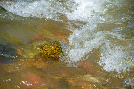 Feel the beauty and serenity of nature among a mountain stream. Witness the perfect balance between...