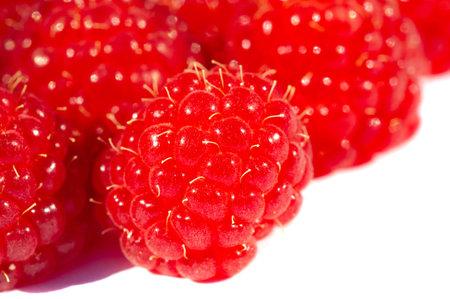 Raspberries are an excellent source of vitamin C, manganese and dietary fiber. They are also a very...
