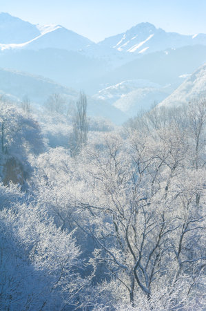 The mountains. Winter. I may be a little biased, but I don't think there are more romantic places than the mountains in winter. Wrapped in snow, these are majestic peaks for you to enjoy.の写真素材