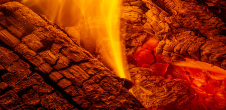 Fire. Enjoy the warm relaxing view of the fireplace! This crackling flame burning fireplace is...
