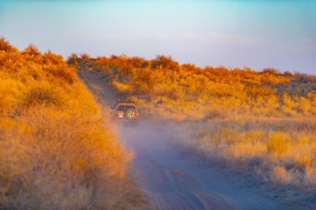 Autumn. Steppe. Sunset. Experience the charm of a golden sunset on the sand dunes. Immerse yourself in the beauty and serenity of autumn. Immerse yourself in the tranquility of autumn awakening.の写真素材