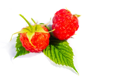 Raspberries. Wild red raspberries produce small, tart red berries. They are delicious fresh but also...