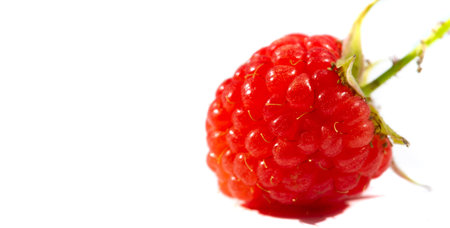 Raspberry. In late summer, native raspberries make their way from the fields to your refrigerator in...