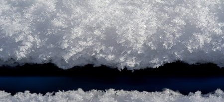 Snow covering the ground, trees, grass. I wonder if snow loves trees and fields, what kisses them so tenderly? And then he covers them tightly, you know, with a white quiltの写真素材