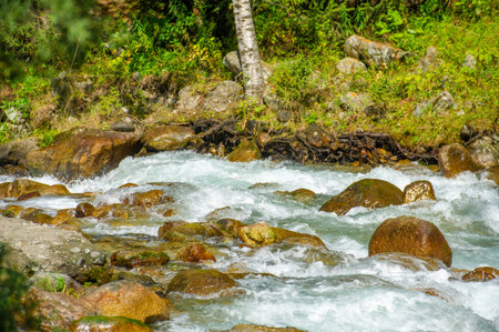 Immerse yourself in the soothing sounds of nature's symphony. Experience the tranquil beauty of a mountain stream. Immerse yourself in the serene energy of the natural world. Find peace and harmonyの写真素材