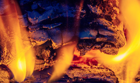 Fire in the fireplace. Fire is beneficial to most of our senses. We love the smell of smoke, the...