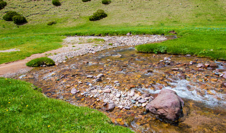 Summer in the mountains. River in the highlands. Summer landscape.の写真素材