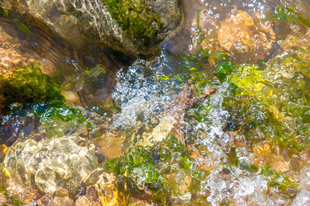 Immerse yourself in the serene beauty of a mountain stream. Experience the peace and tranquility...
