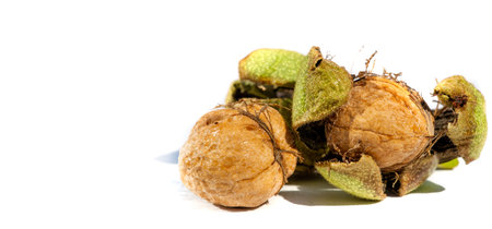 Walnut. If you can't make a cup of walnuts, you have no soul