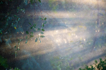 Experience the tranquility of nature's beauty in summer Relish the refreshing sensation of raindrops...