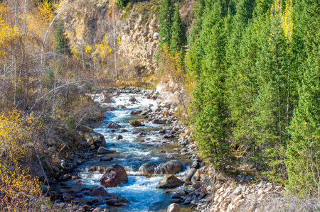 Experience the mystical charm of the Tien Shan spruce forests. Immerse yourself in the vibrant...