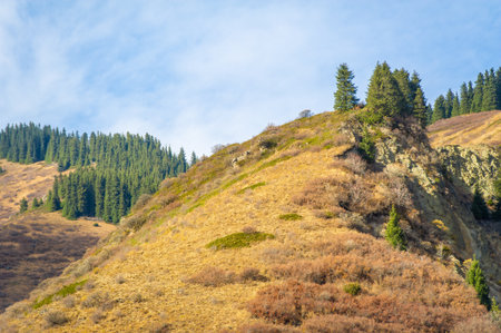 Experience the untouched beauty of the Tien Shan spruce forests. Conquer new peaks in the autumn mountains. Join nature explorers on a majestic mountain adventure.の写真素材