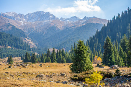 Experience the beauty and serenity of the Tien Shan mountains. Take a leisurely stroll among the lush green pine trees. Admire the vibrant flowers decorating the landscape.の写真素材